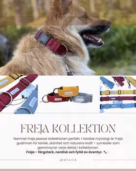 Freja set