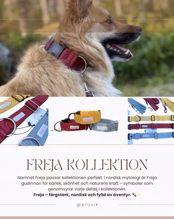 Freja set