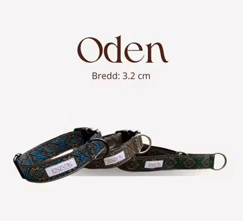 Oden halsband