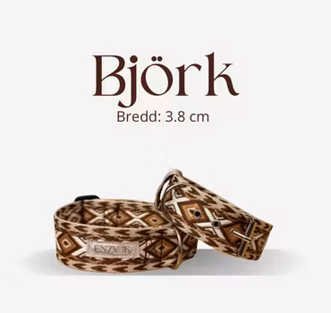 Björk halsband