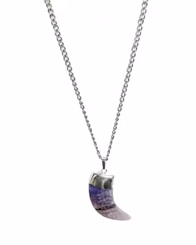 Halsband med tandhänge Ametist