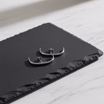 Silverörhängen suspender