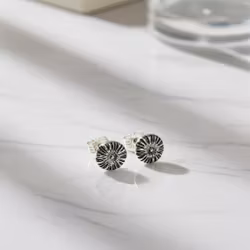 Silverörhängen små blommor