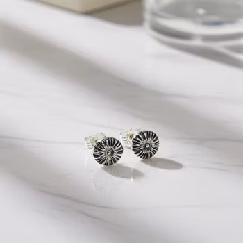 Silverörhängen små blommor