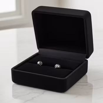 Örhängen nitar herr