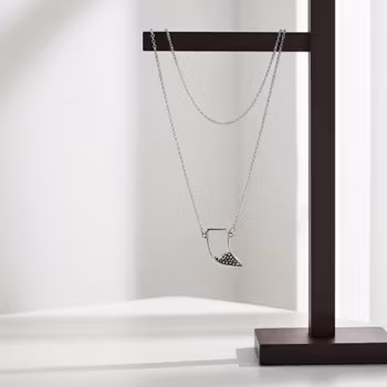 Silverhalsband med tand