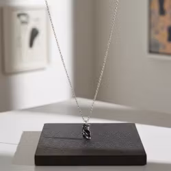 Silverhalsband med rustikt hänge