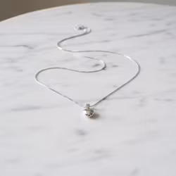 Silverhalsband hjärta