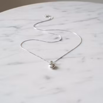 Silverhalsband hjärta