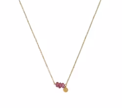 Halsband med råa Turmalin stenar