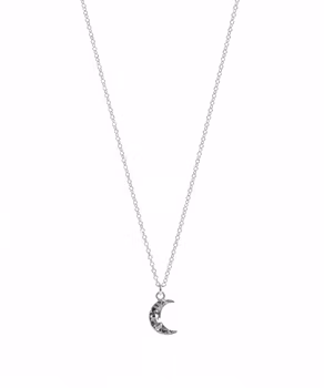 Silverhalsband Måne