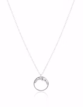 Silverhalsband med rund ring