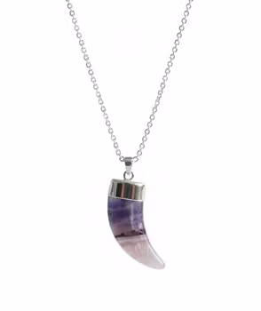Halsband med tandhänge Ametist