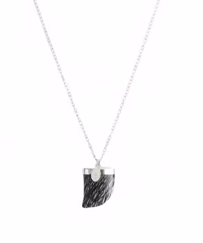 Långt halsband med jaspis hänge