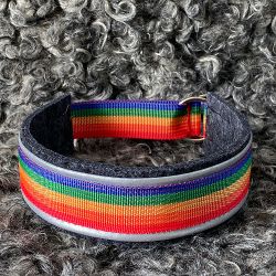 Halsband Pride i ull med regnbågsband och reflex
