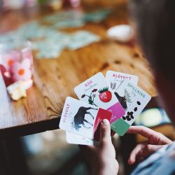 Eplaros kvartettspel Finns i skogen