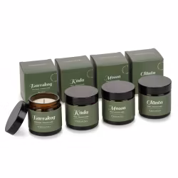 Doftljus Northern Woods 4-pack