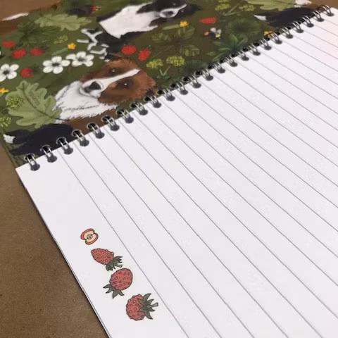 Eplaros spiralblock Border collie