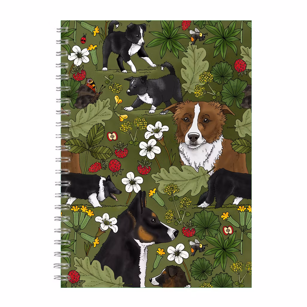 Eplaros spiralblock Border collie