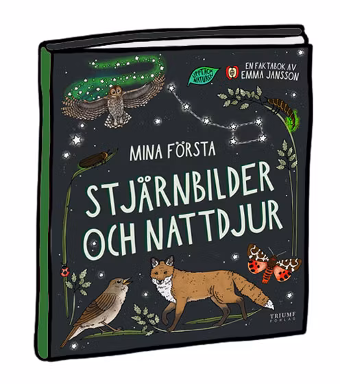 Faktabok Mina första stjärnbilder och nattdjur av Eplaros