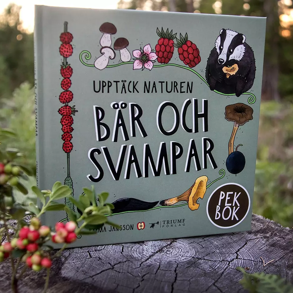 Pekbok Bär och svampar av Eplaros