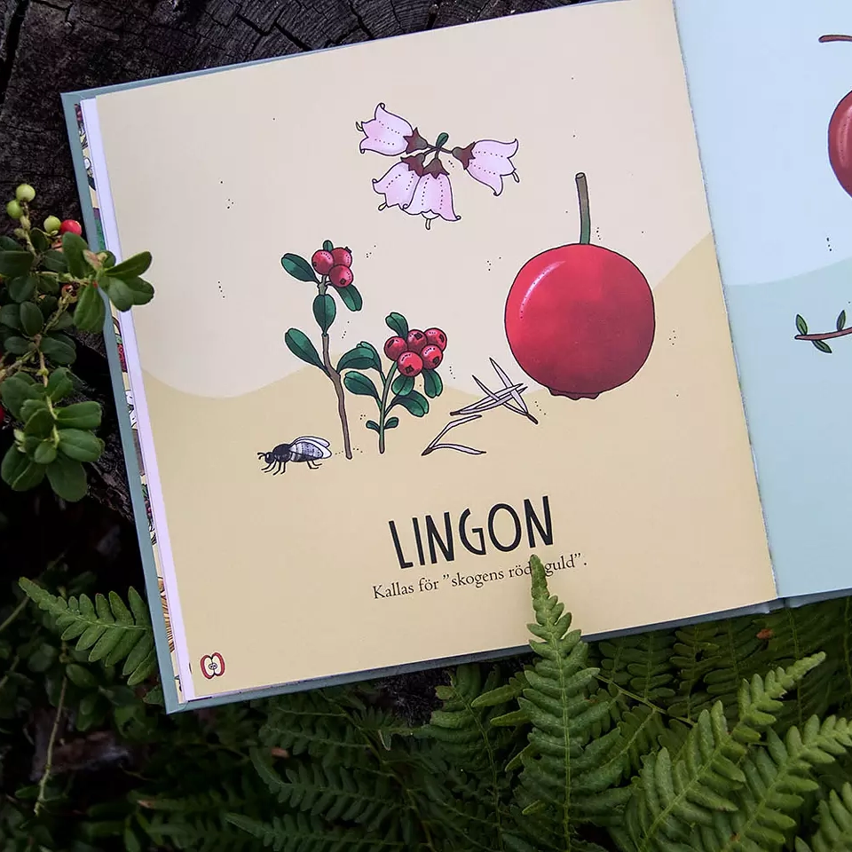Pekbok Bär och svampar av Eplaros