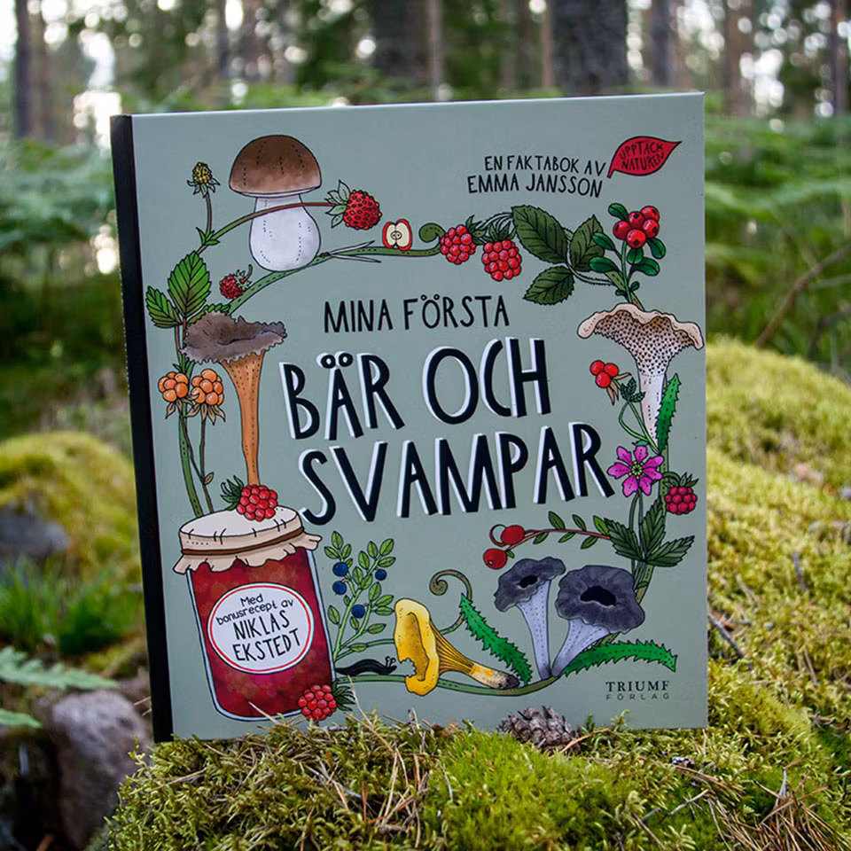 Mina första bär och svampar av Eplaros