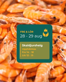 🦐🌊 Skaldjurshelg hos oss – 28–29 augusti! 🌊🦀