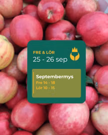 🍂 Septembermys 25 – 26 september 🎁