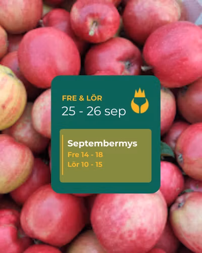 🍂 Septembermys 25 – 26 september 🎁