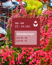 🍂 Oktobermys 23 – 24 oktober 🎄✨