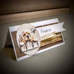 Simple personalised place cards without images/ Enkle personlige bordkort uten bilde