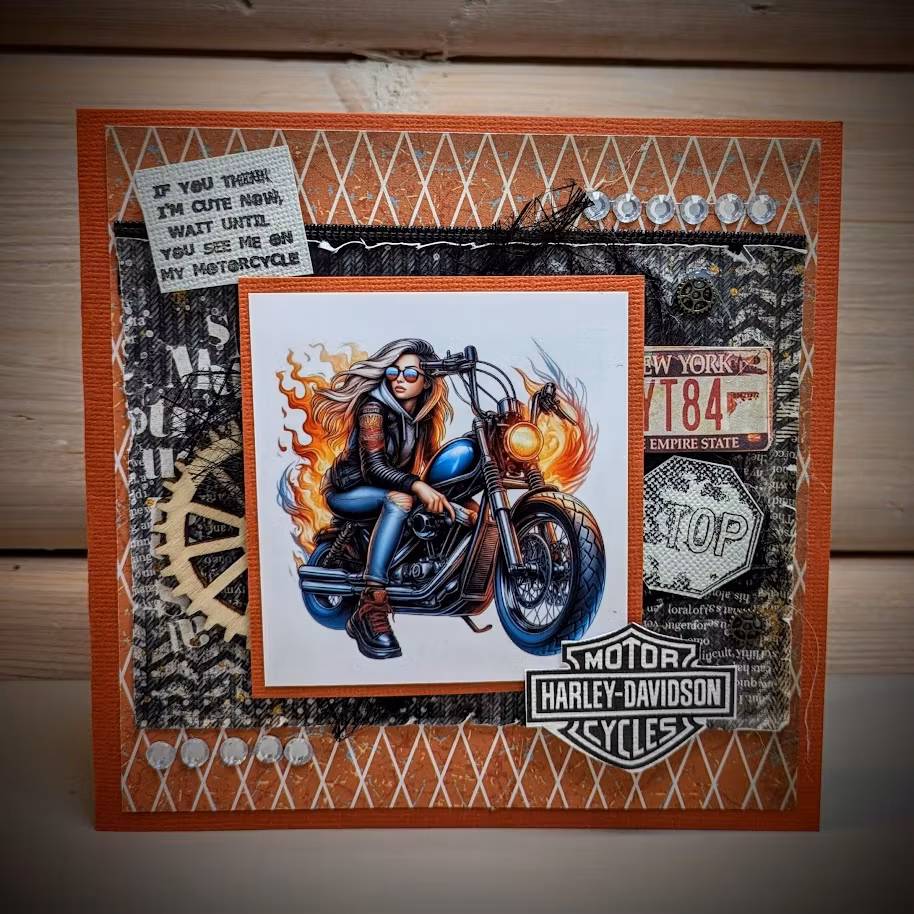 Motorsykkel/ Motorcycle