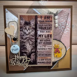 I am your friend
