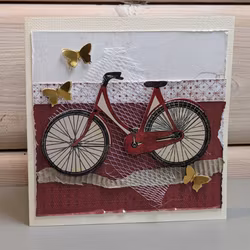 Bisycle/ Sykkel