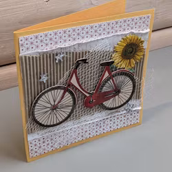Bisycle/ Sykkel