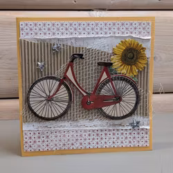 Bisycle/ Sykkel