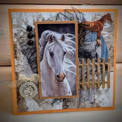 Horse/Hest