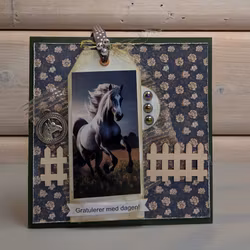 Horse/Hest