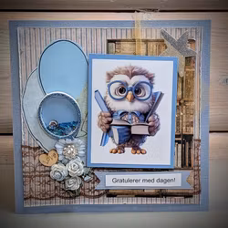 Owl/Ugle