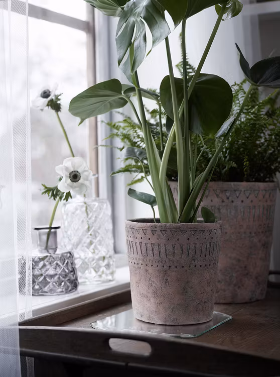 Terrakotta kruka mellan