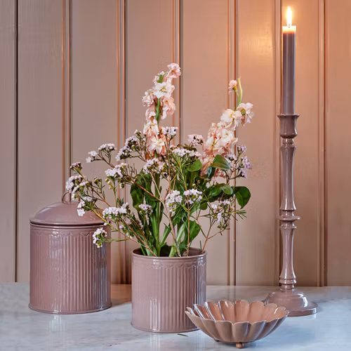 Liten burk rosa