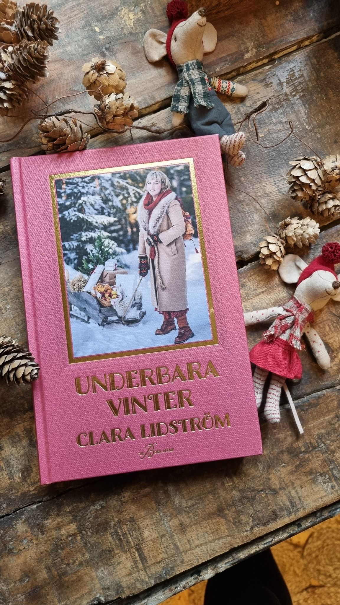 Underbara vinter av Clara Lidström