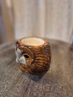 Äggkopp uggla