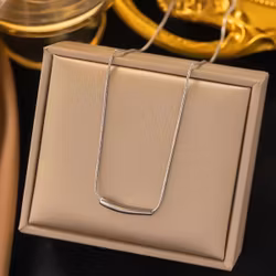 Silverfärgat halsband med minimalistiskt hänge
