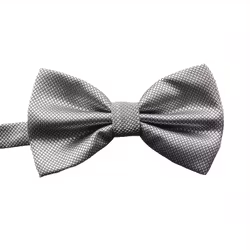 Silverfärgad fluga – klassisk struktur