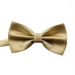 Champagnefärgad fluga med diskret struktur