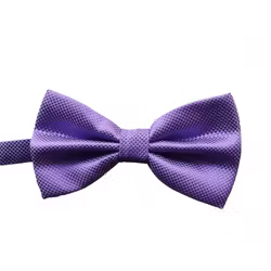 Lila fluga med elegant struktur