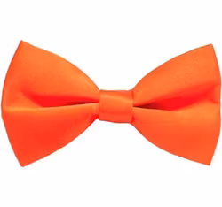 Orange fluga för barn