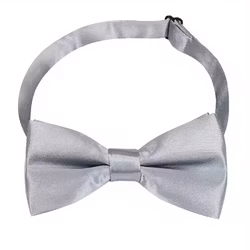 Silverfärgad fluga för barn